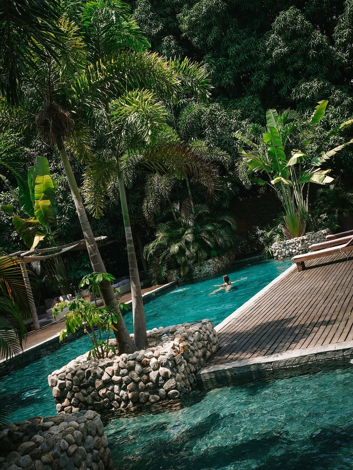 Piscina de Casa Selva rodeada de palmeras y vegetación