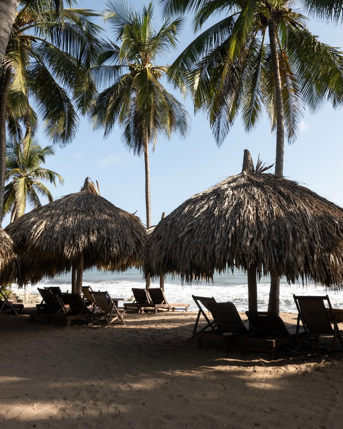 Palapas y asoleadoras bajo las palmeras en la playa de Naio